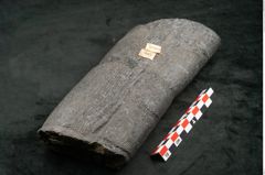 Foto (Seitenansicht) von Calamites communis Ettingshausen (NHMW-GEO-2024-0188-10969)